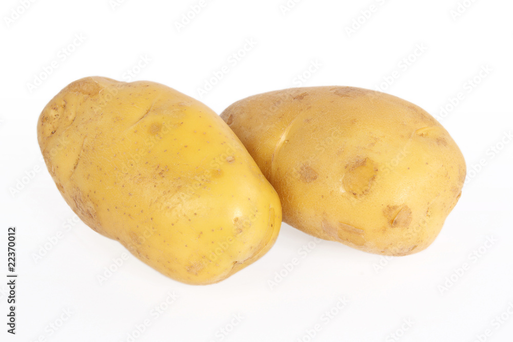 potato potato