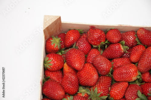 cagette de fraises