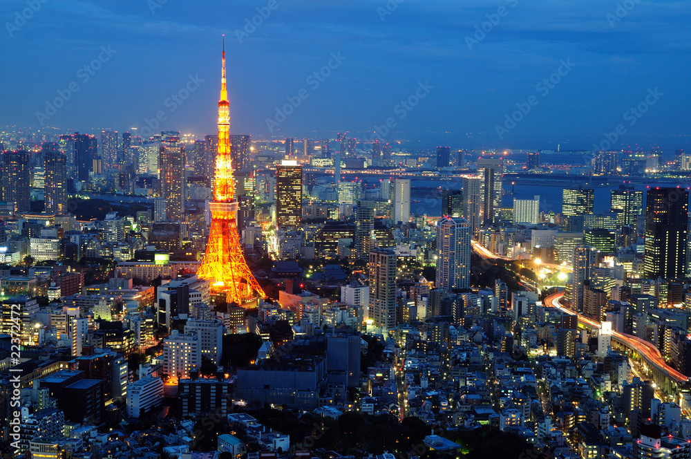 Fototapeta premium Tokyo tower in blue sky