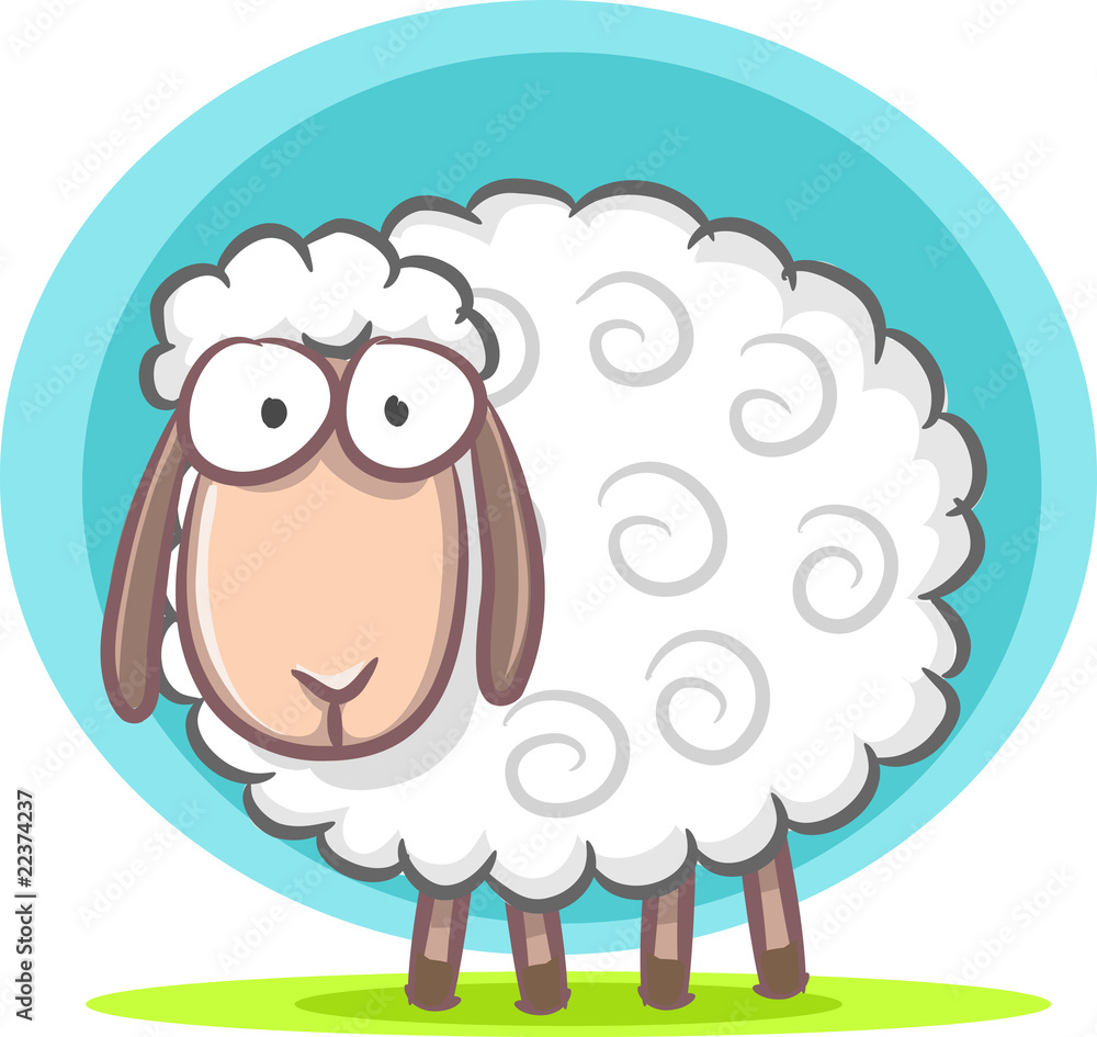 Fototapeta premium Cute Sheep