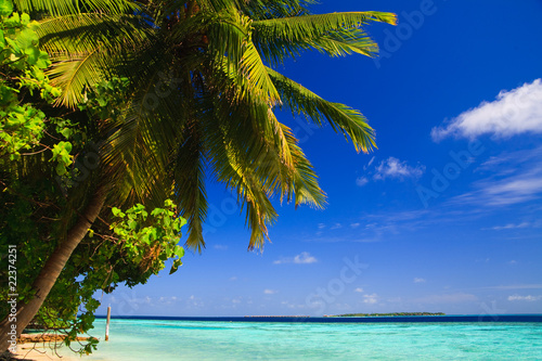 Fototapeta Naklejka Na Ścianę i Meble -  Tropical Paradise at Maldives