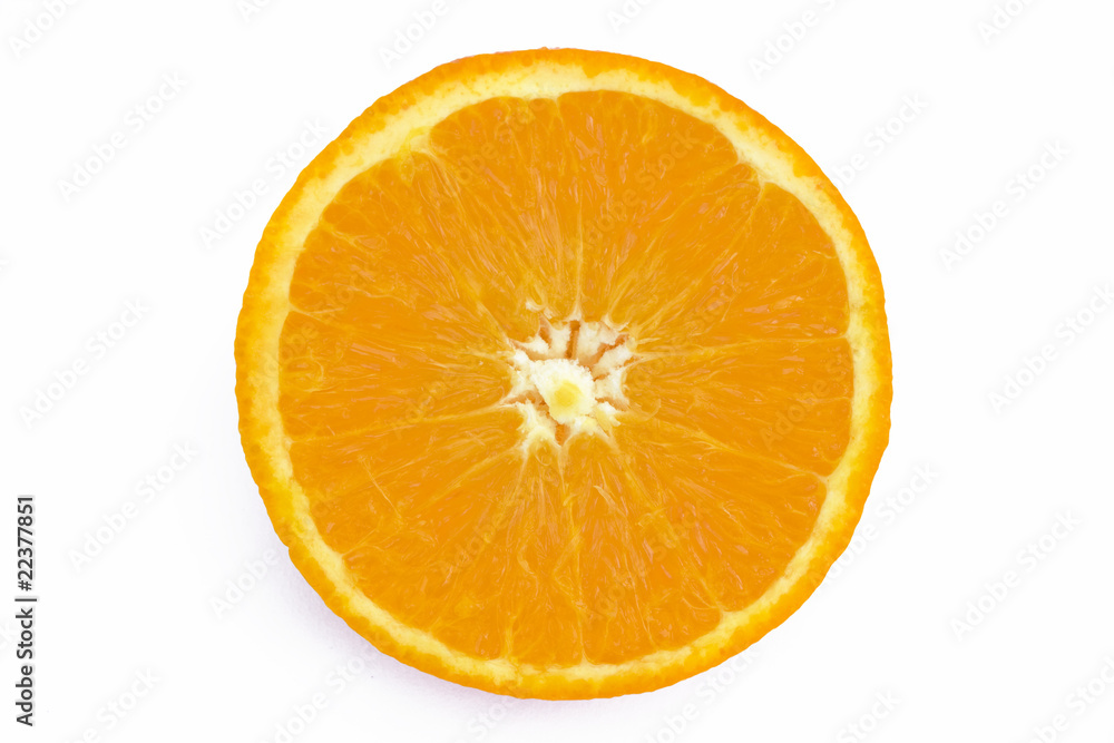 orange slice ona whiite background orange slice ona whiite background