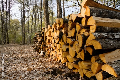 Fotografija Bois de chauffage