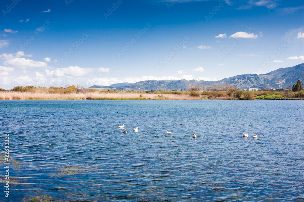 Agia Lake