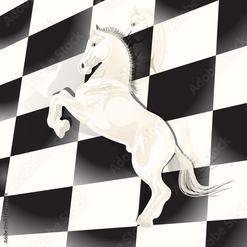chess