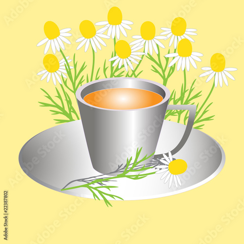 Tea from a camomile