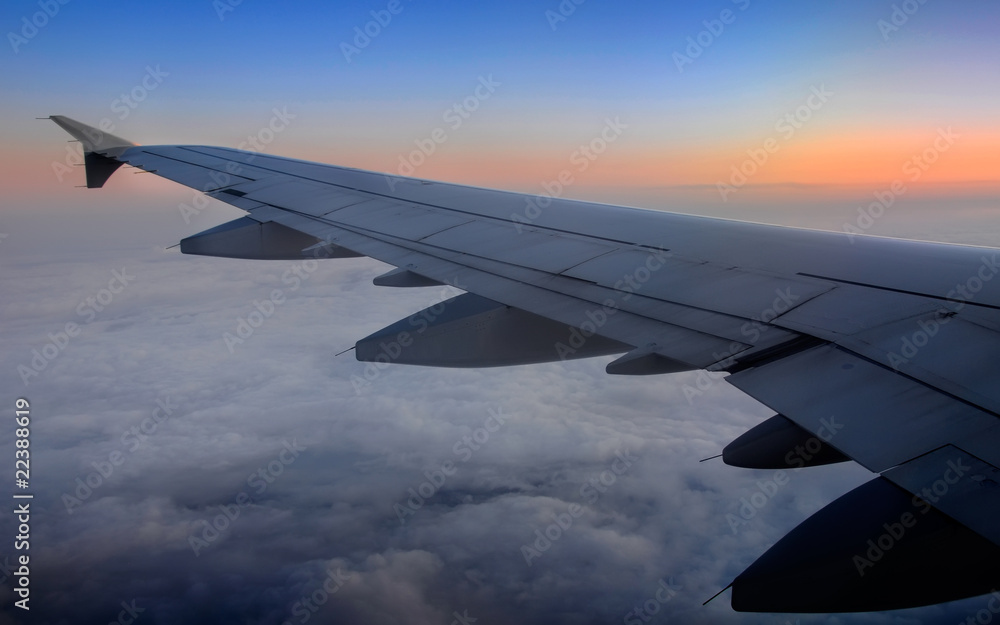 Wing of the plane Wing of the plane