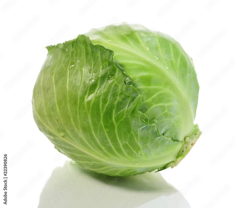 cabbage cabbage