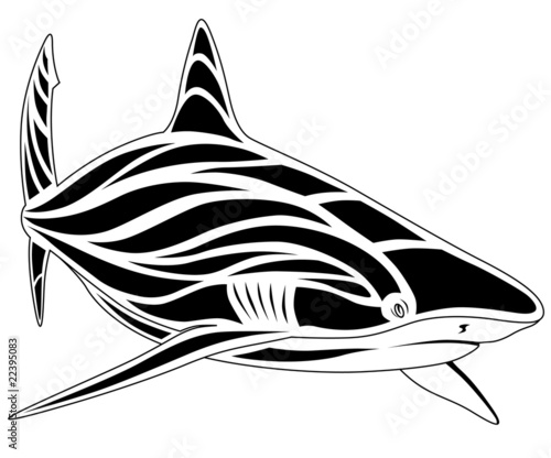 Shark, tattoo