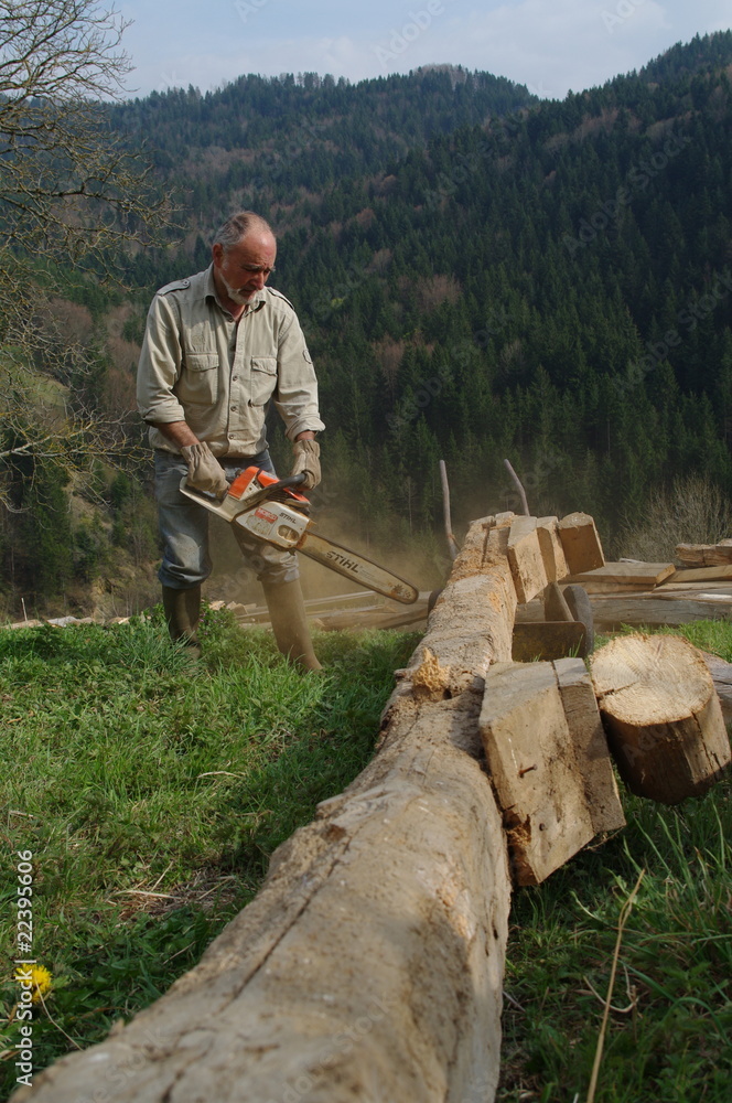 coupe de bois à la tronçonneuse coupe de bois à la tronçonneuse