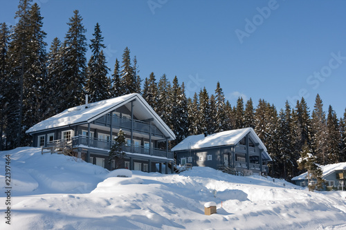 Cottages in winter © Olga Polyakova