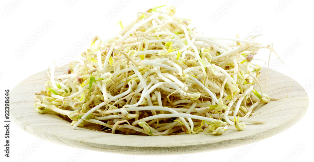 pousses de soja, haricot mungo sur assiette bois, fond blanc pousses de soja, haricot mungo sur assiette bois, fond blanc
