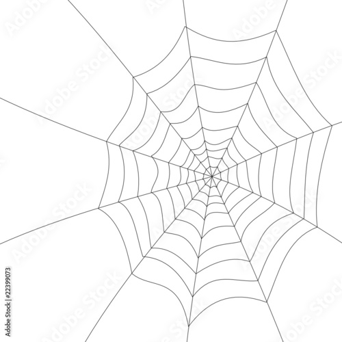 ragnatela