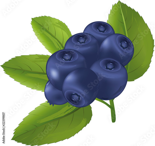 Bilberry