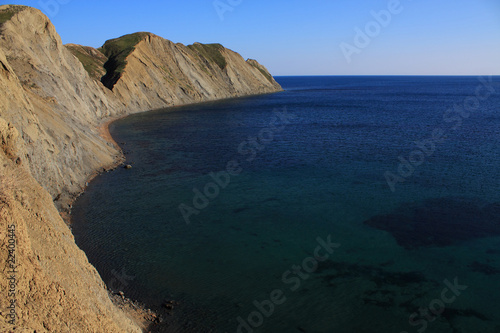 Cape Chameleon. Photo 9579