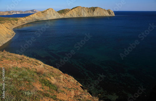 Cape Chameleon. Photo 9498