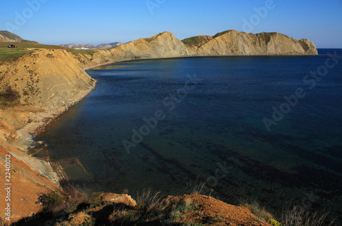Cape Chameleon. Photo 9516