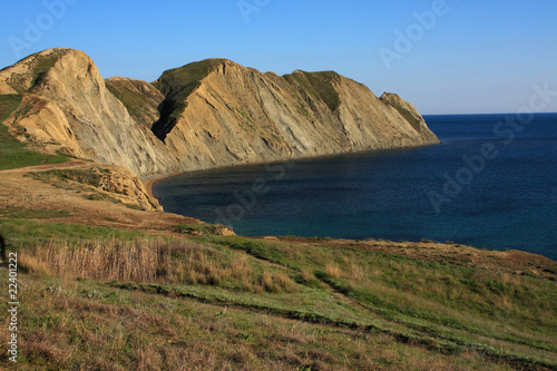 Cape Chameleon. Photo 9561