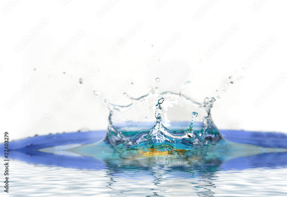 splash splash