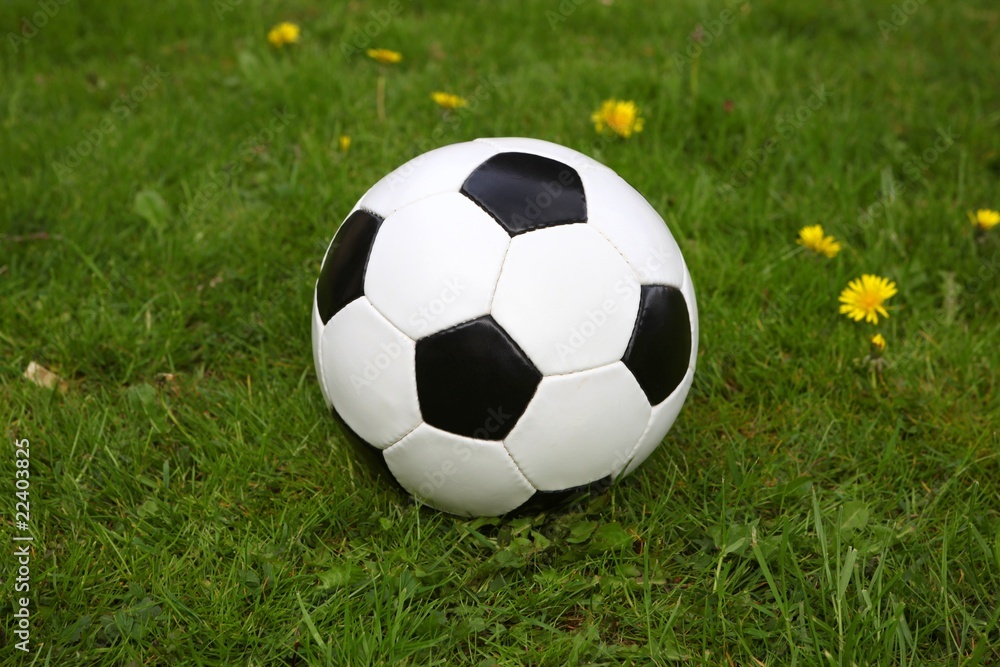 Obraz premium soccer ball on grass