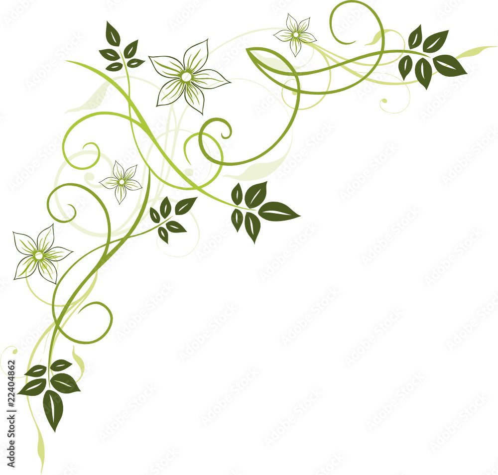 Blumen, Blüten, Ranke, Blätter, floral, filigran, grün Blumen, Blüten, Ranke, Blätter, floral, filigran, grün