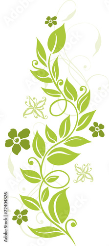 Blumen, Blüten, Ranke, flowers, floral, filigran, grün