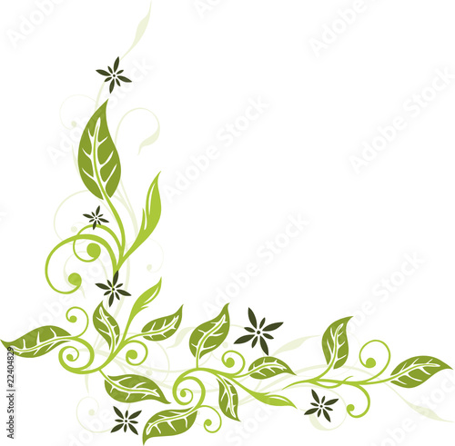 Blumen, Blüten, Ranke, Blätter, floral, filigran, grün