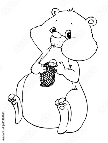 Hamster, Haustier, Nagetier, Erdhörnchen, Backenhörnchen