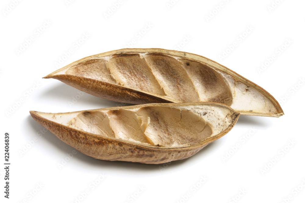 Dry Pod Dry Pod