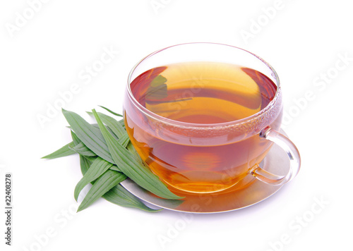 Tee Spitzwegerich - tea ribwort plantain 04