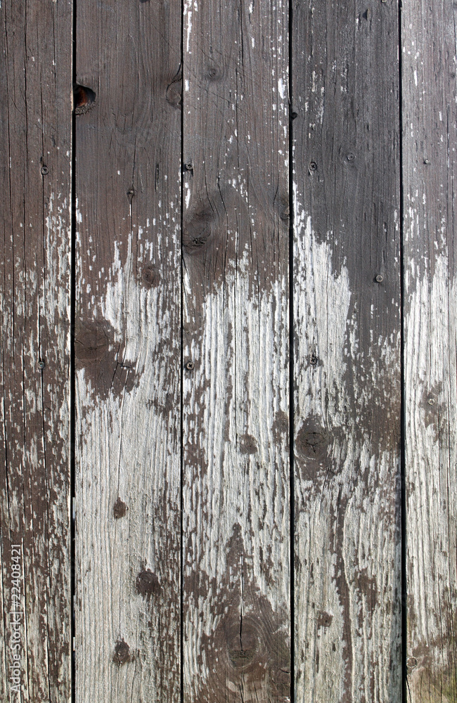 Naklejka premium old timber