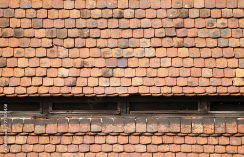 roof with roof tiles