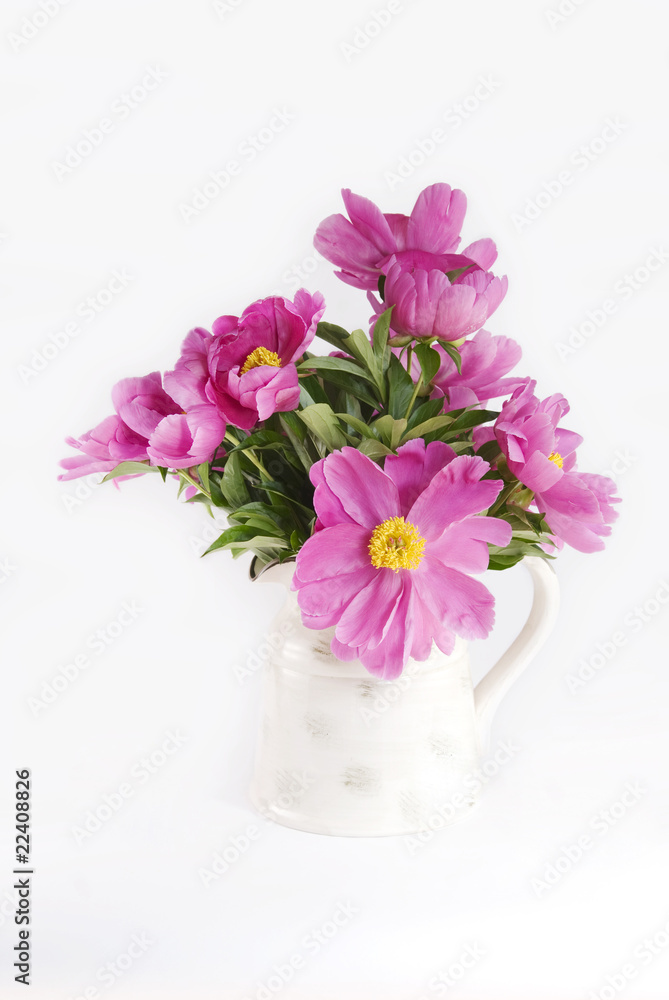 Pink Peonies in Vase
