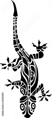 lizard