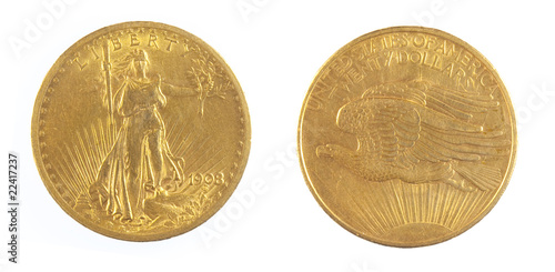 Twenty Dollar Gold Coin