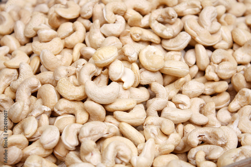 Cashew