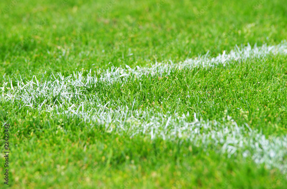 Fußball Rasen Ecke - Soccer Grass - obrazy, fototapety, plakaty 