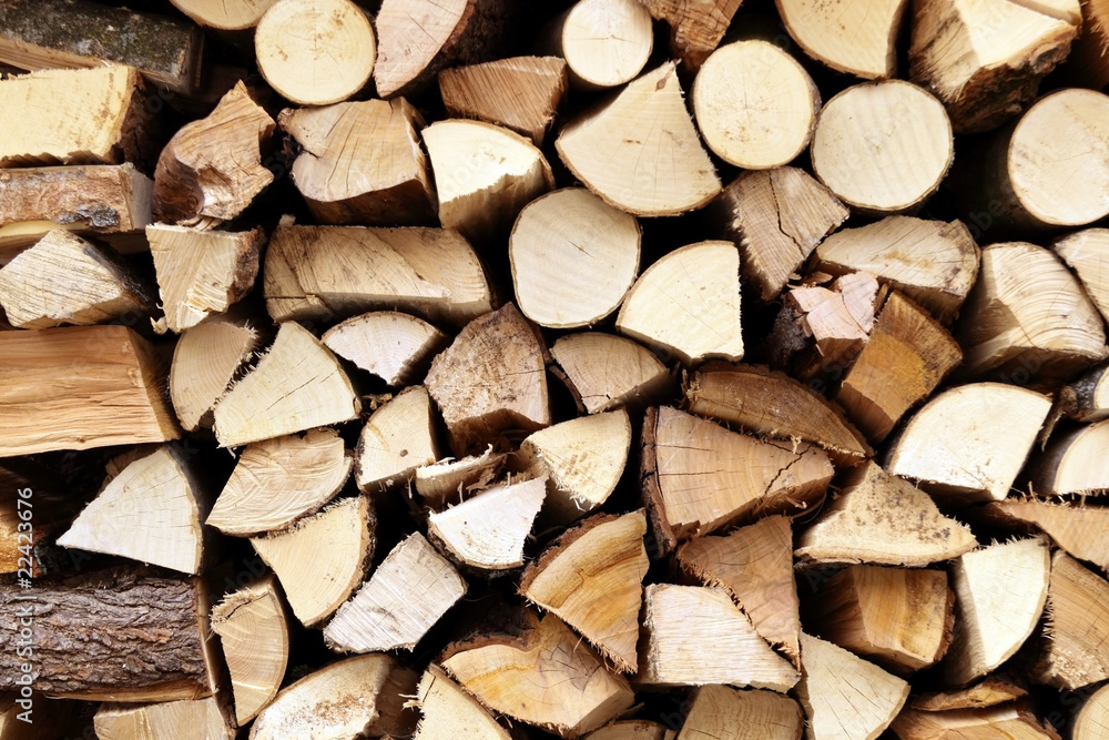 Fototapeta premium Holzscheite