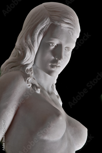 busto di donna photo