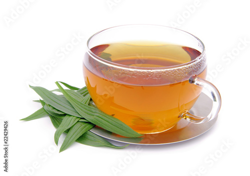 Tee Spitzwegerich - tea ribwort plantain 06