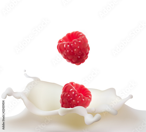 Raspberry falling to milk splash. Vector illustration,