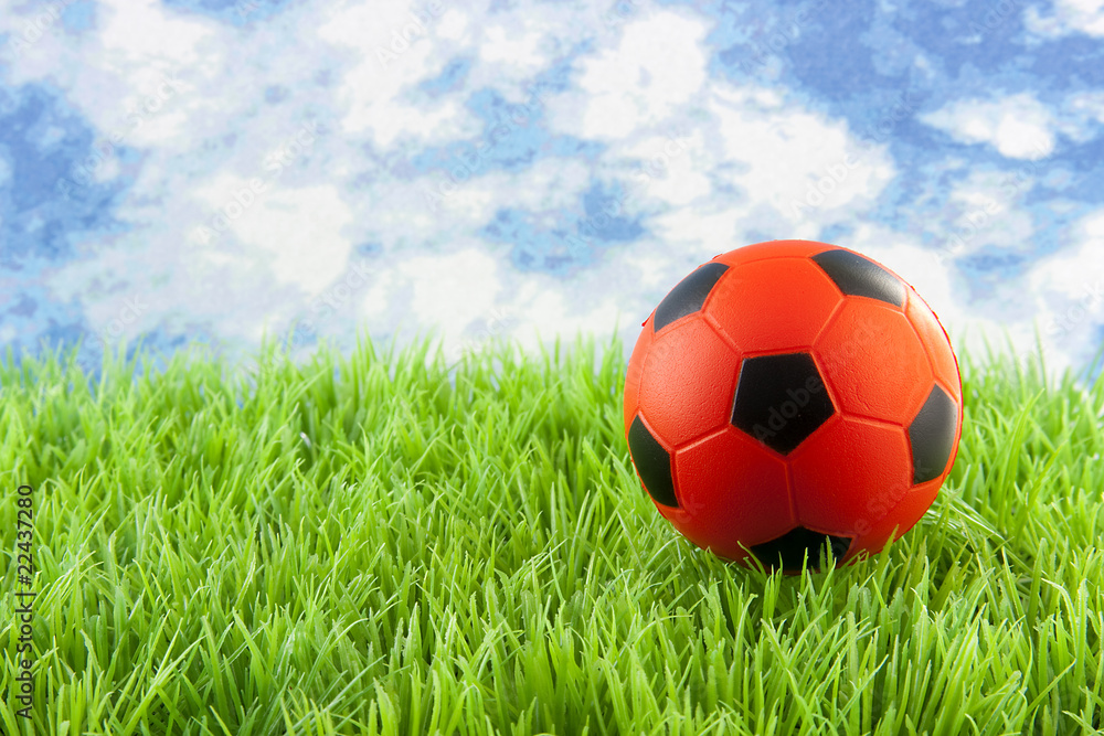 Fototapeta premium orange soccer ball on grass