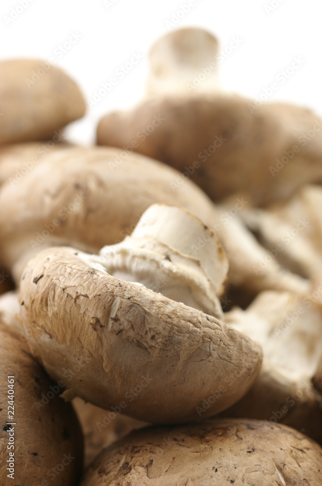 Fototapeta premium Mushrooms close-up