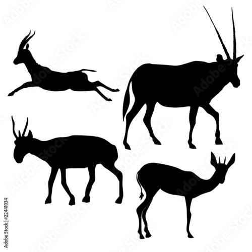 set of silhouette of antelope photo