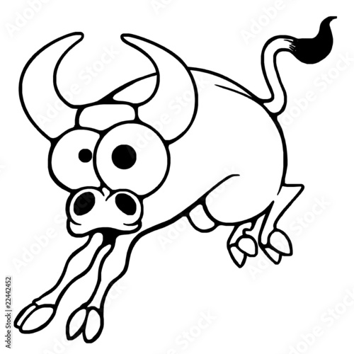bull