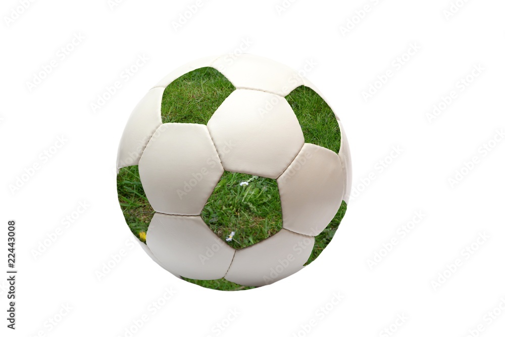 Fototapeta premium soccer ball with green grass (isolated)