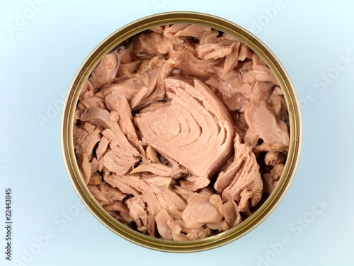 Canned Tuna
