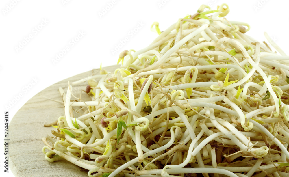 soja germé, haricot mungo sur assiette bois, fond blanc soja germé, haricot mungo sur assiette bois, fond blanc