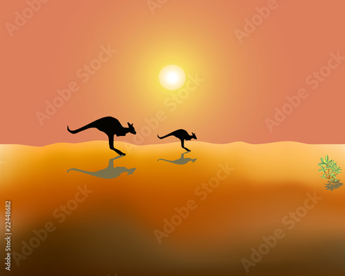 Fototapeta Naklejka Na Ścianę i Meble -  kangaroos