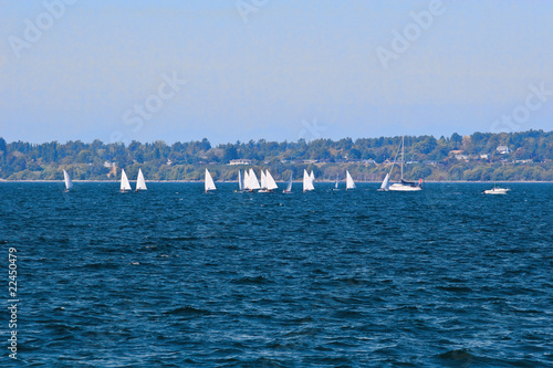 White Sails Across Blue Water